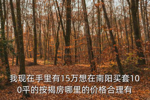 我現在手里有15萬想在南陽買套100平的按揭房哪里的價格合理有