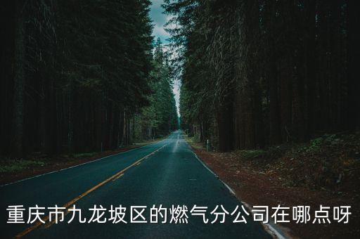 重慶市九龍坡區的燃氣分公司在哪點呀