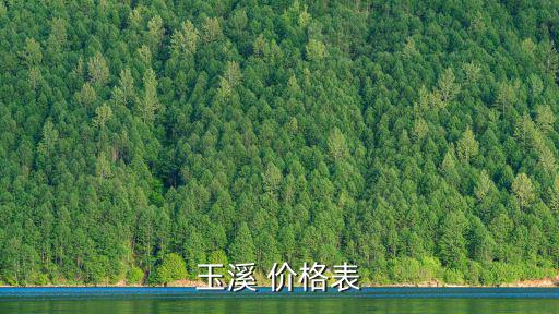 玉溪 價格表