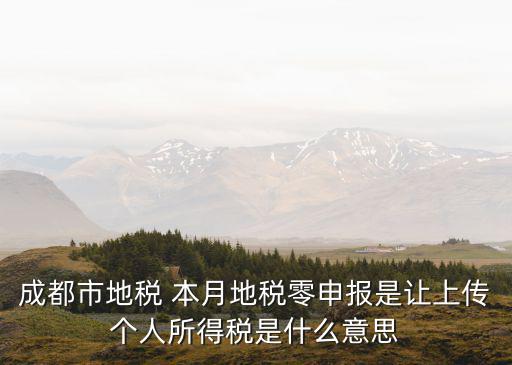成都市地稅 本月地稅零申報是讓上傳個人所得稅是什么意思