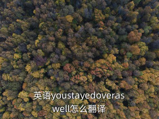 英語youstayedoveraswell怎么翻譯