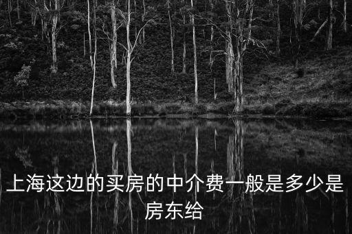 上海這邊的買房的中介費一般是多少是房東給
