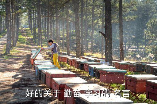 關于勤奮學習的名言,第二集:勤勉和懶惰在思考中完成