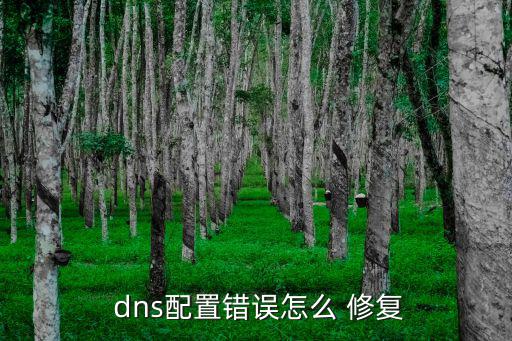  dns配置錯誤怎么 修復