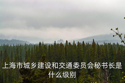 上海市城鄉建設和交通委員會秘書長是什么級別