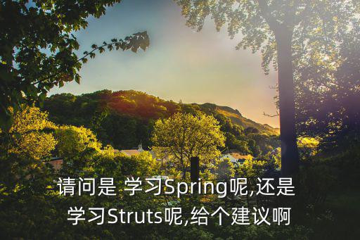 請問是 學習Spring呢,還是 學習Struts呢,給個建議啊