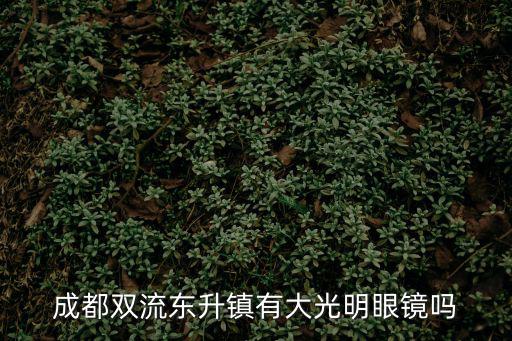 成都雙流東升鎮(zhèn)有大光明眼鏡嗎