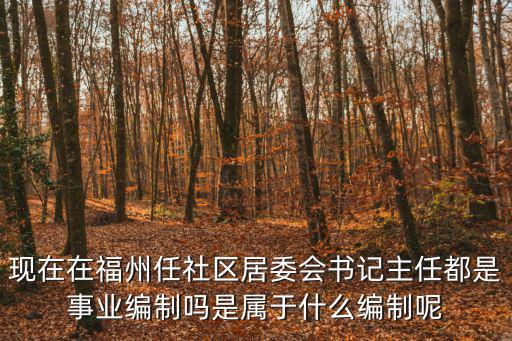 現在在福州任社區居委會書記主任都是事業編制嗎是屬于什么編制呢