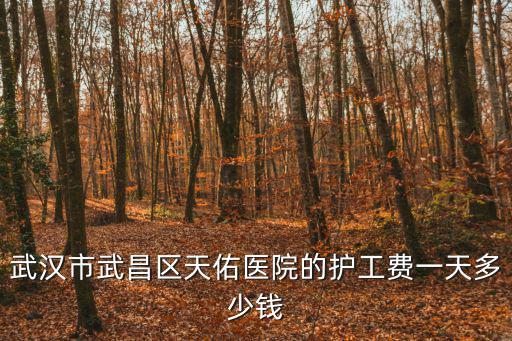 武漢市武昌區天佑醫院的護工費一天多少錢
