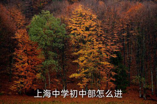 上海中學初中部怎么進