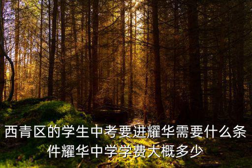 上海耀華臨港校區學費，西青區的學生中考要進耀華需要什么條件耀華中學學費大概多少