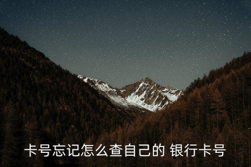 卡號忘記怎么查自己的 銀行卡號