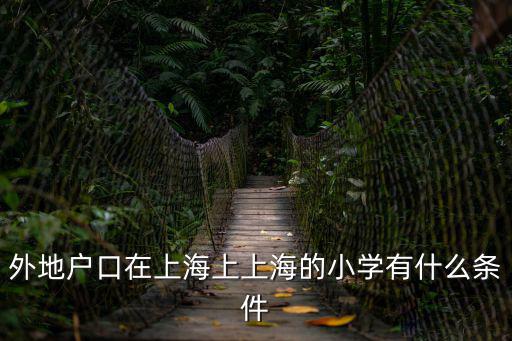 外地戶口在上海上上海的小學有什么條件