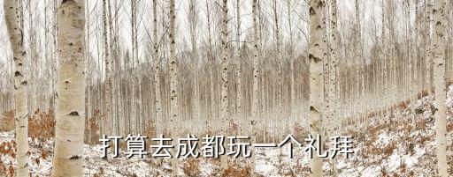 打算去成都玩一個禮拜
