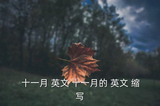 十一月英文縮寫,公歷年最后一個(gè)月英文of十一月是11月