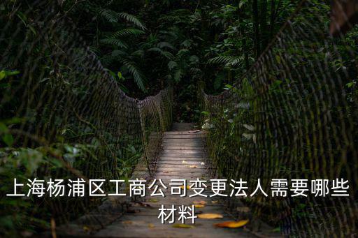 上海楊浦區工商公司變更法人需要哪些材料