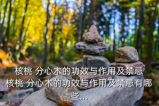 核桃分心木的功效,核桃分心木材的功效與作用