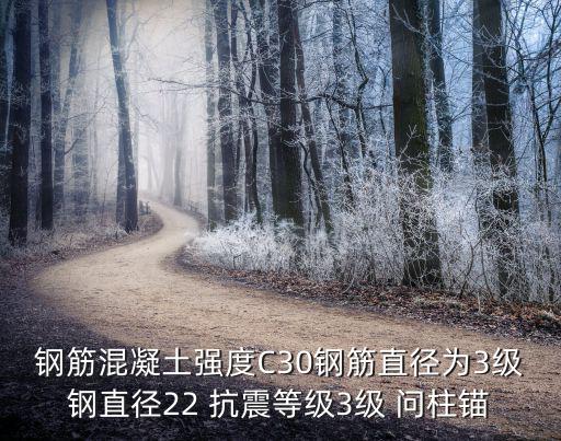 鋼筋混凝土強度C30鋼筋直徑為3級鋼直徑22 抗震等級3級 問柱錨