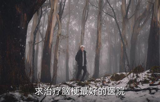 求治療腦梗最好的醫(yī)院