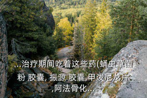 ...治療期間吃著這些藥(蛹蟲草菌粉 膠囊, 振源 膠囊,甲潑尼龍片,阿法骨化...
