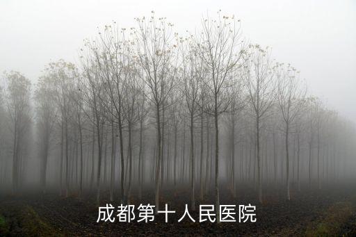 成都第十人民醫院