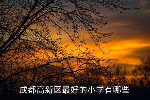 成都市高新區五所小學，成都高新區武侯區有哪些小學比較好