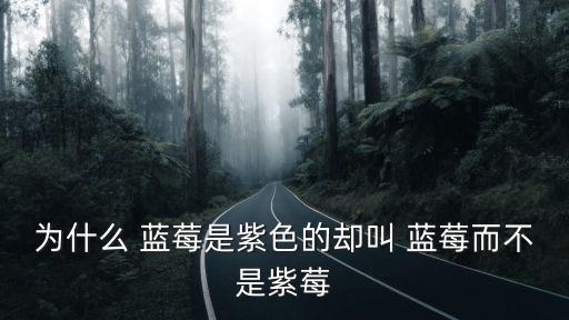 藍莓英文,關于藍莓和藍莓