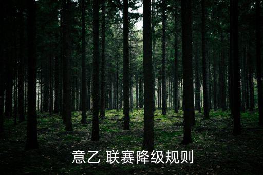  意乙 聯賽降級規則