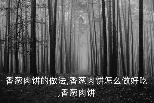 香蔥肉餅的做法,香蔥肉餅怎么做好吃,香蔥肉餅