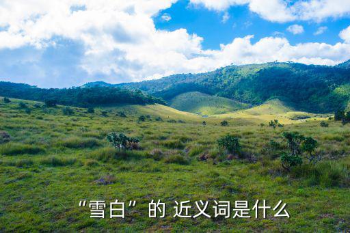 白的近義詞,白雪公主的反義詞