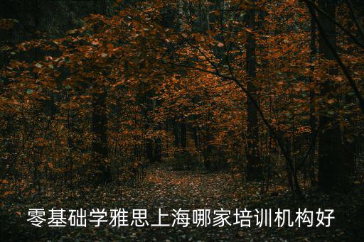 零基礎(chǔ)學雅思上海哪家培訓機構(gòu)好