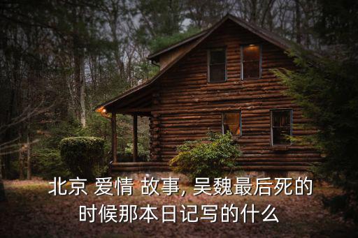  北京 愛情 故事, 吳魏最后死的時候那本日記寫的什么