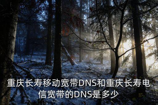 重慶市長(zhǎng)壽區(qū)電信DNS服務(wù)器，重慶的DNS服務(wù)器地址是多少