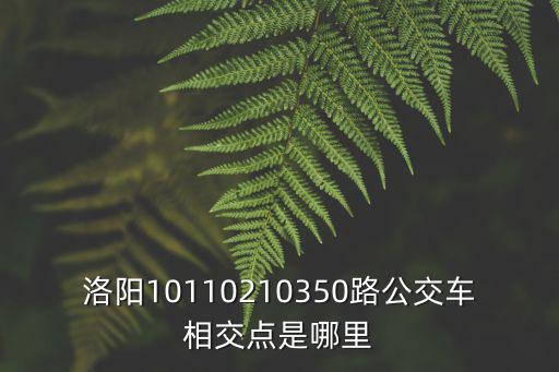 從西關(guān)坐101到洛陽上海市場，洛陽公交車哪到上海市場以及小商品市場