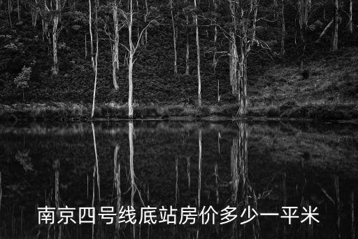 如何看待南京南站房價漲跌，南京現(xiàn)在的房價是多少會跌嗎有什么優(yōu)惠政策