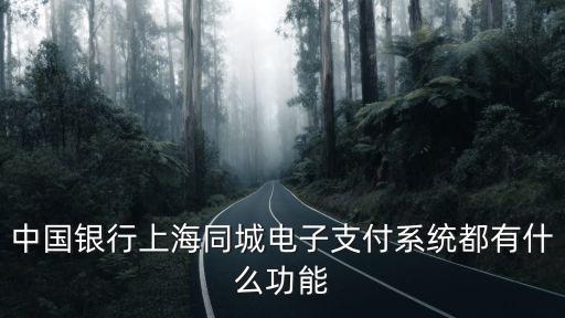 中國銀行上海同城電子支付系統(tǒng)都有什么功能
