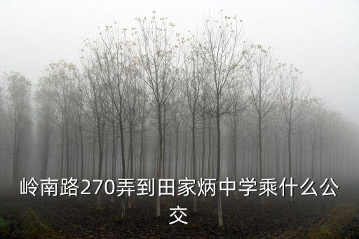 上海市田家炳中學在哪，上海市田家炳中學所屬區域