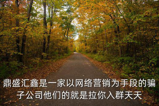 鼎盛匯鑫是一家以網絡營銷為手段的騙子公司他們的就是拉你入群天天
