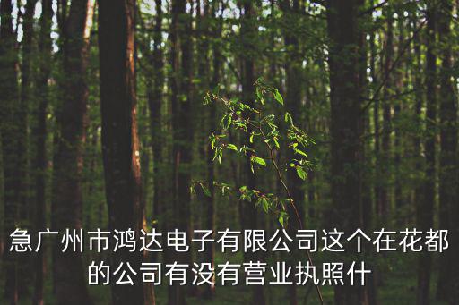 急廣州市鴻達(dá)電子有限公司這個在花都的公司有沒有營業(yè)執(zhí)照什