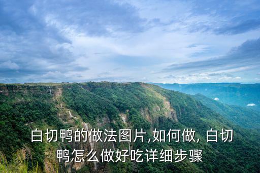 白切鴨的做法圖片,如何做, 白切鴨怎么做好吃詳細步驟
