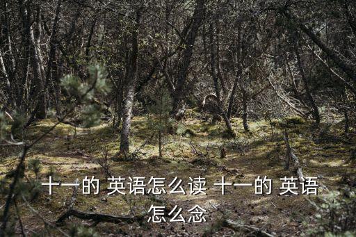  十一的 英語(yǔ)怎么讀 十一的 英語(yǔ)怎么念