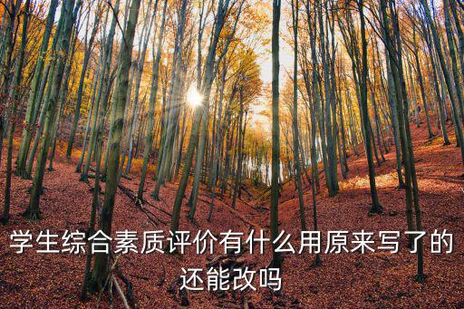 學(xué)生綜合素質(zhì)評(píng)價(jià)有什么用原來寫了的還能改嗎