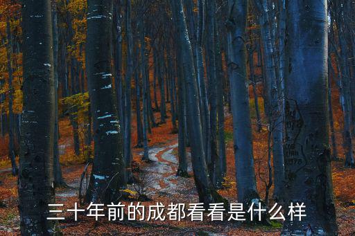 三十年前的成都看看是什么樣