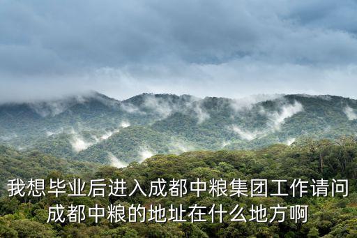 我想畢業(yè)后進(jìn)入成都中糧集團(tuán)工作請問成都中糧的地址在什么地方啊