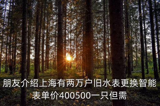 朋友介紹上海有兩萬戶舊水表更換智能表單價400500一只但需
