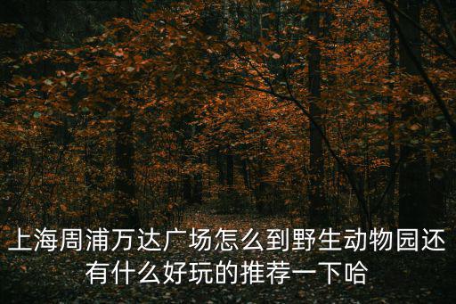 上海周浦萬達廣場怎么到野生動物園還有什么好玩的推薦一下哈