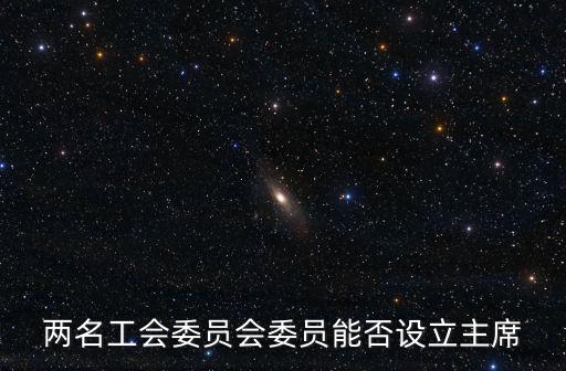 兩名工會(huì)委員會(huì)委員能否設(shè)立主席