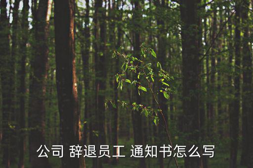 公司 辭退員工 通知書怎么寫