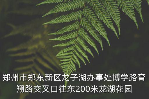 鄭州市鄭東新區龍子湖辦事處博學路育翔路交叉口往東200米龍湖花園