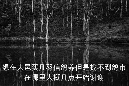 想在大邑買幾羽信鴿養但是找不到鴿市在哪里大概幾點開始謝謝